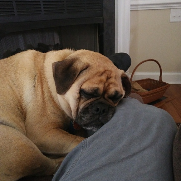 Meet your Posher, Wayne - Picture 2 of 2